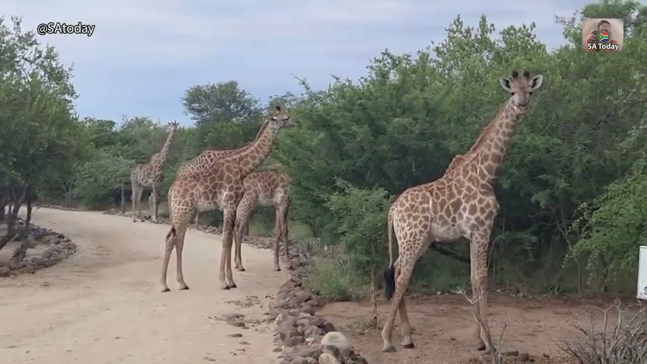 South Africa Today on 26 February 2026