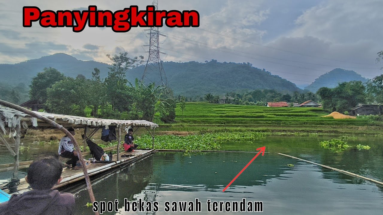 Wajib dicoba‼️spot mancing bekas sawah terendam