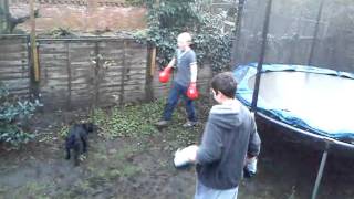 Backyard boxing ep.2