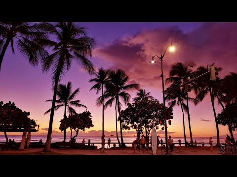 (playlist) 브릿팝 팬이 들으면 황홀해서 기절하는 팝송 모음