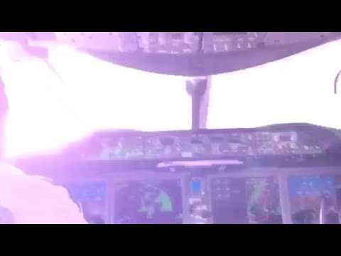 Boeing 737 Max was struck by the terrifying lightning.