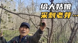 挣钱的日子过的太快了黄瓜香结束了跑山人充实的一天小刀开始有孕反不敢闻油烟味整的这形象逗的全家哈哈笑