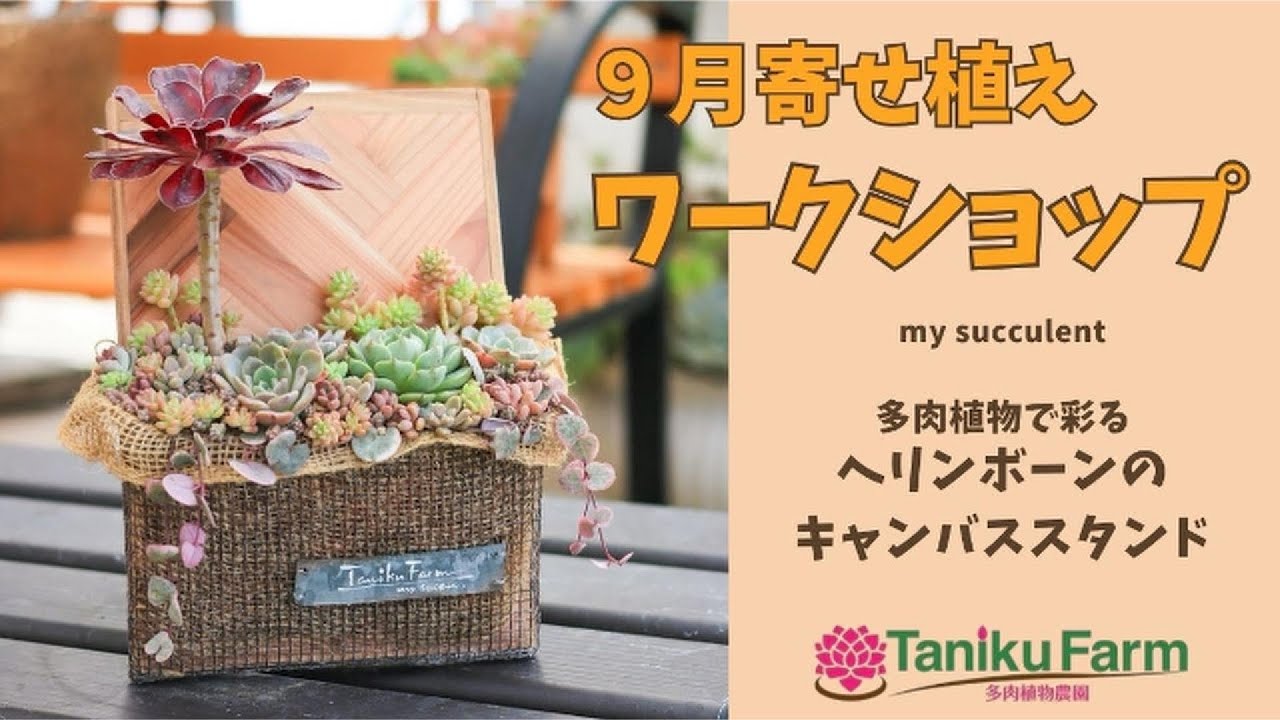 Reservations Open!] September Container Gardening Workshop