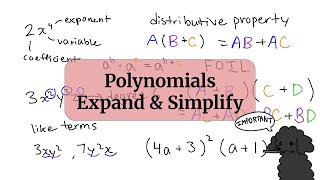 POLYNOMIALS 1 (Adding, Subtracting, and Multiplying Polynomials)