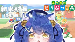 ˗ˋˏあつまれどうぶつの森ˎˊ˗１年半失踪したけど村長になれますか？（ 天宮こころ/にじさんじ ）