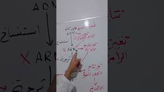 مخطط أفكار تمارين وحدة تركيب البروتين #اكسبلور #بيولوجي #education