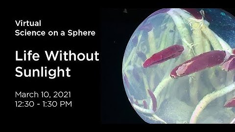 Virtual Science on a Sphere: Life Without Sunlight