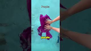 How to choose the right color of a swimsuit?