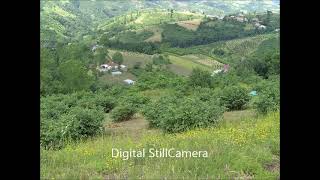 Çarşambayı sel aldı-zara Resimi