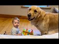 Adorable Baby Boy Shares His Toys With Golden Retriever Buddy! (Cutest Ever!!)