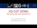 X quang cot song Phan3 Benh Ly