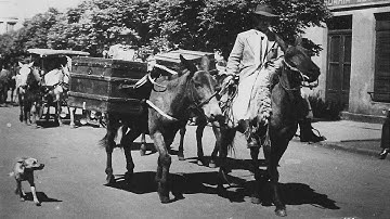 O Problema do Caixeiro Viajante - Teoria da computação