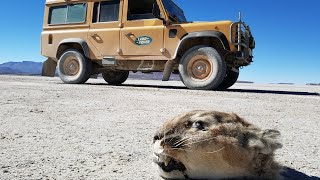 Salar De Uyuni. A Stunning Place. Land Rover Defender 300Tdi.