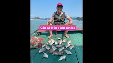 Câu cá Tráp Vân Đồn