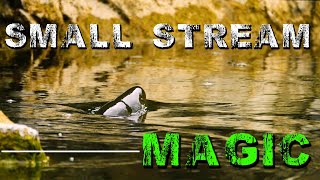 'How We Do It' EPISODE #1: Small Brown Trout Stream Magic After the Eradicating Floods