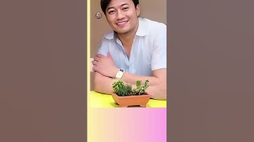 những hình ảnh Diễn Viên Quý Bình khiến ai nhìn vào cũng rơi nước mắt vì nhớ anh #shorts