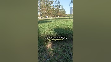 #اكسبلور #المصحف #kuran #حالات_واتس #قران_كريم آيات قصيرة من القرآن الكريم حالات واتس آب