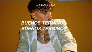 RAUW ALEJANDRO- Buenos Terminos (Letra) 