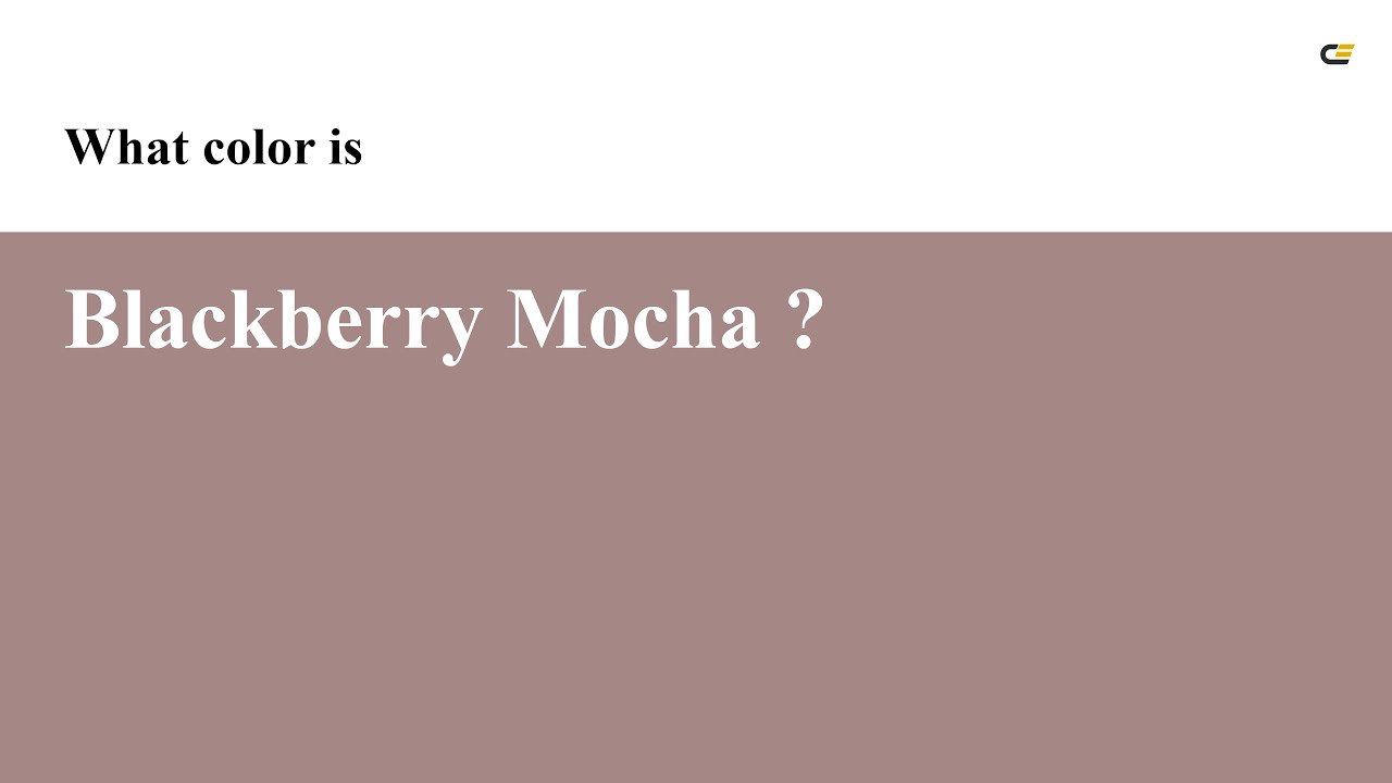 Blackberry Mocha color a58885 hex color Brown color Cool color