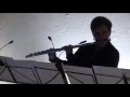 Its mirror 2013 by dan senn for solo flute lenka kozderkov flutist