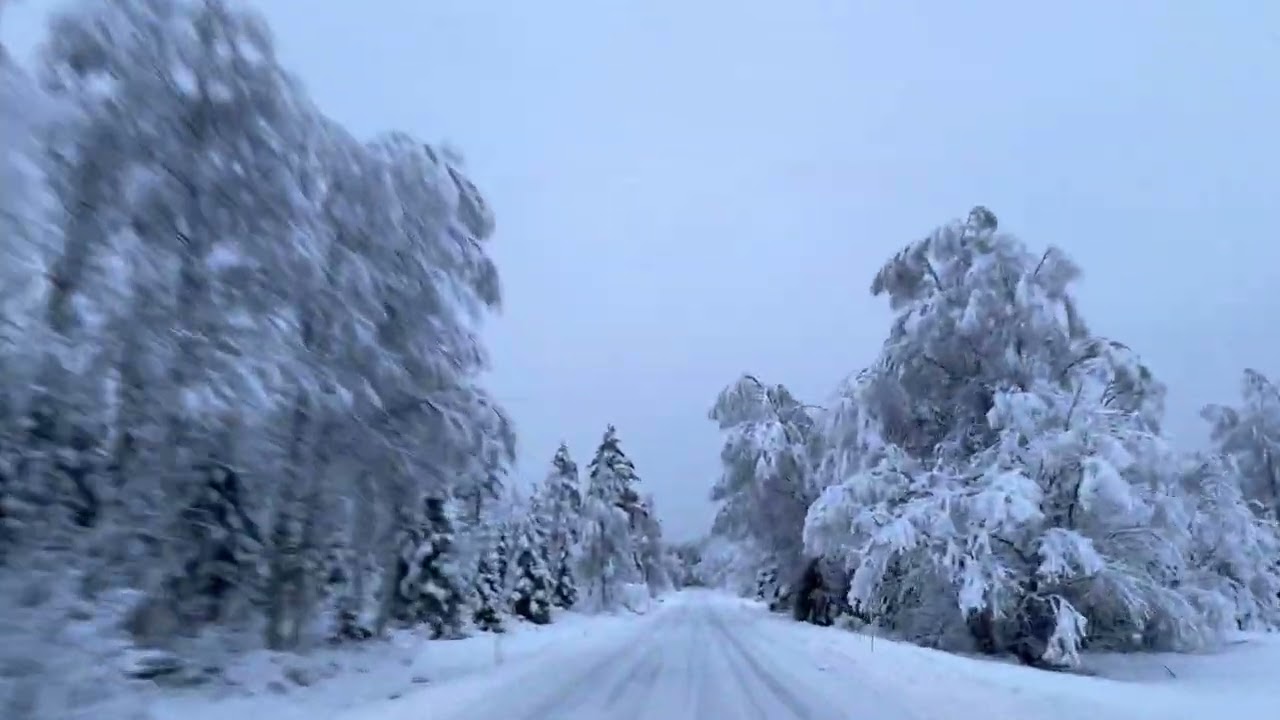 a trip through the winter forest…путешествие по зимнему лесу…en tur gjennom vinterskogen