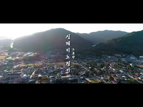 신제비노정기 MV