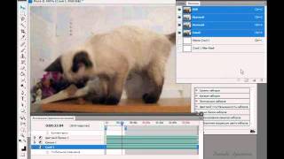 Редактирование видеофайлов в Photoshop Редактирование видеофайлов в Photoshop