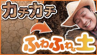 【家庭菜園】農家直伝の土づくり!! 家庭菜園でもできる失敗しないその方法とは!?