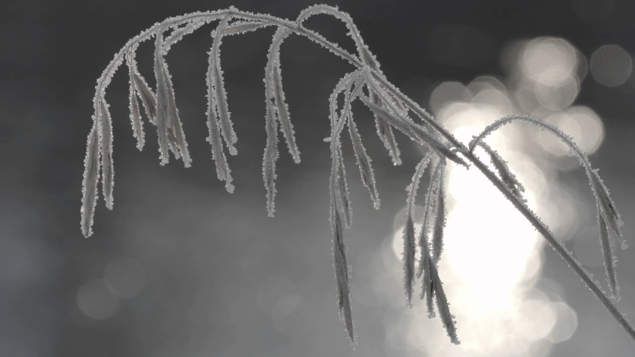 4K-видеосъемка на Sony Alpha ILCE-7RM2 с профилем S-Log 2