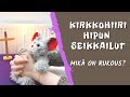 KIRKKOHIIRI HIPUN SEIKKAILUT | Mikä on rukous? + liikkuva rukous