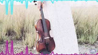 Violineszet-Music2013Stani - Hip Hopno Copyright Music