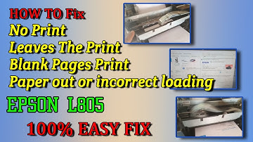 No Print Blank Page Paper Jam Paper out or incorrect loading repair fix error L805 EPSON PRINTER