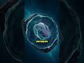 Your Body Is Older Than the Solar System #Shorts