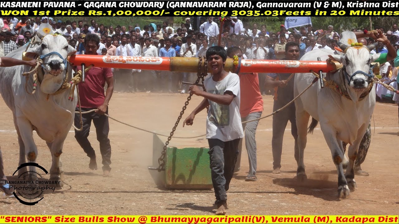 2019 BHUMAYYAGARIPALLI 