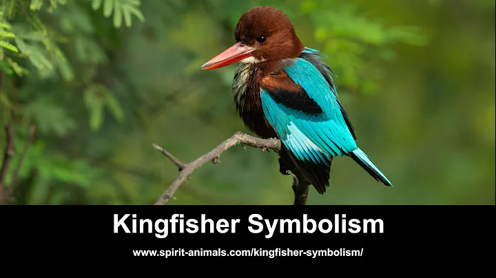 Unlocking the Mysteries of Kingfisher Symbolism