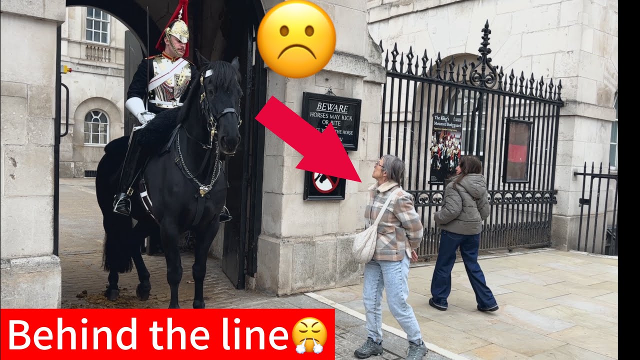 🚫 Tourist approach the King’s Guard — Guard Warns Her to Step Back!