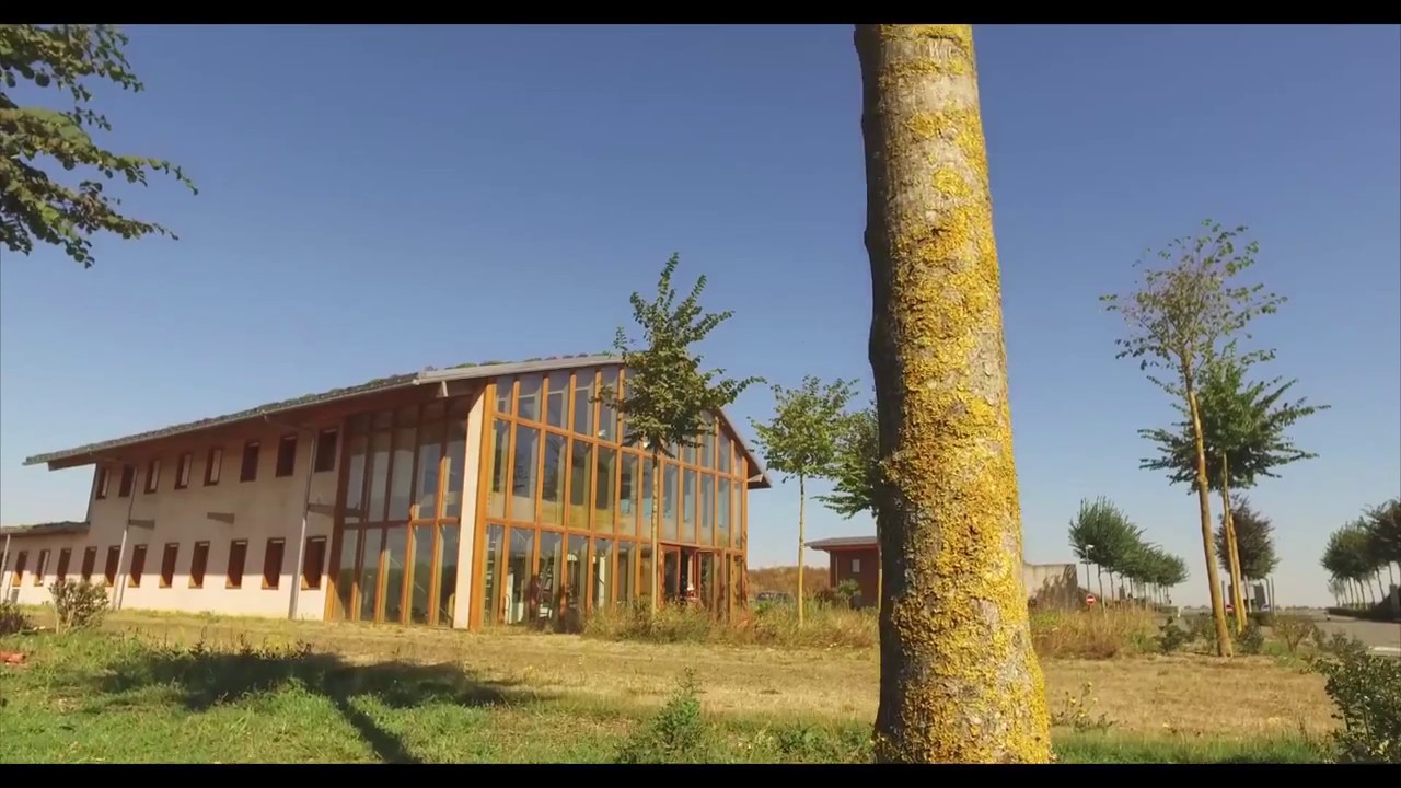 pays baltes Paroles d'Entreprises - ECOVEGETAL