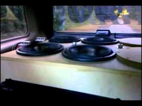 Сұңқар мүшесі