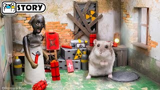 ☢️ Hamster Stalker vs Granny in the Chernobyl Exclusion Zone ☢️ Homura Ham Pets by Homura Ham Pets 491,129 views 1 year ago 8 minutes, 8 seconds