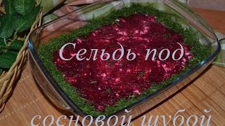 Сельдь под шубой / СЕЛЬДЬ под сосновой шубой/Новогодний салат Сельдь под шубой / СЕЛЬДЬ под сосновой шубой/Новогодний салат