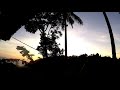 Suasana Di Pedesaan Pagi Hari Suara Burung Suara Ayam Ayam Jago Ayam Pelung Mp3 - Mp4 Download