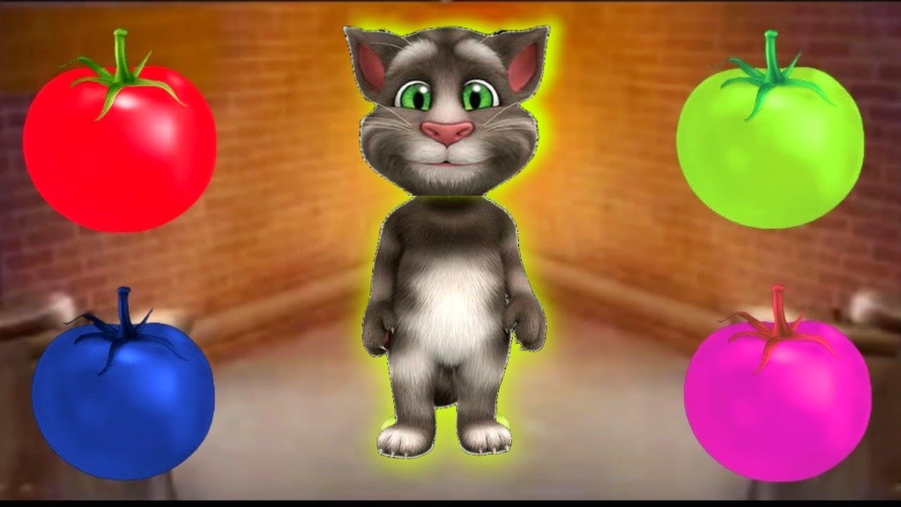 taking tom billu 🍅 eating colour tomato funny video| billu tomato corton video  