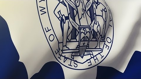 Wyoming Flag Waving In The Wind. Looping Sun Rises Style. Animation Loop Stock Animation