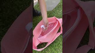 The Ultimate Summer Cat Carrier! 🐱☀️ My Cat is Obsessed #Shorts