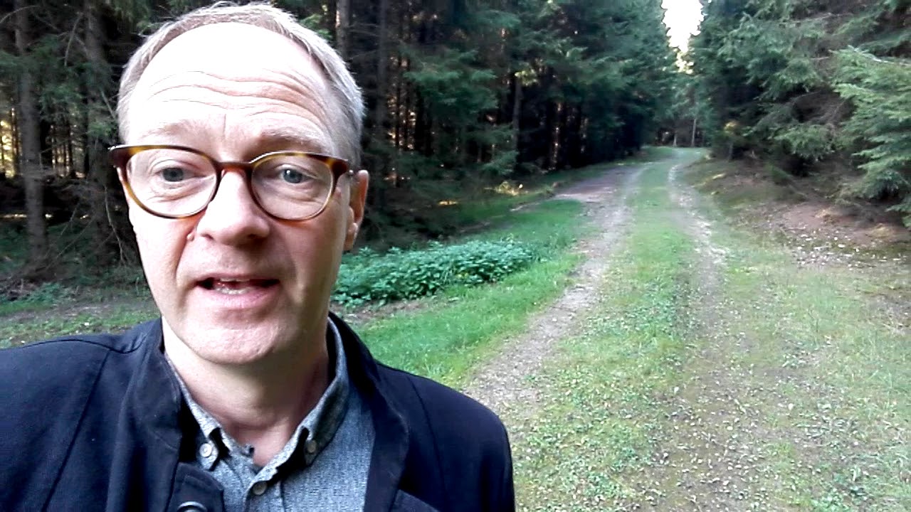 Markedsføring - midt i Rold Skov