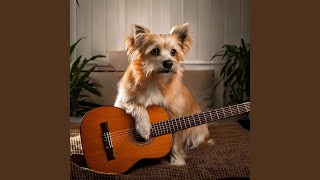 Strings For Dogs