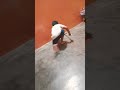 Video like kare 🧡 #funny #trending #cutebaby #shortvideo #shorts #ytshort