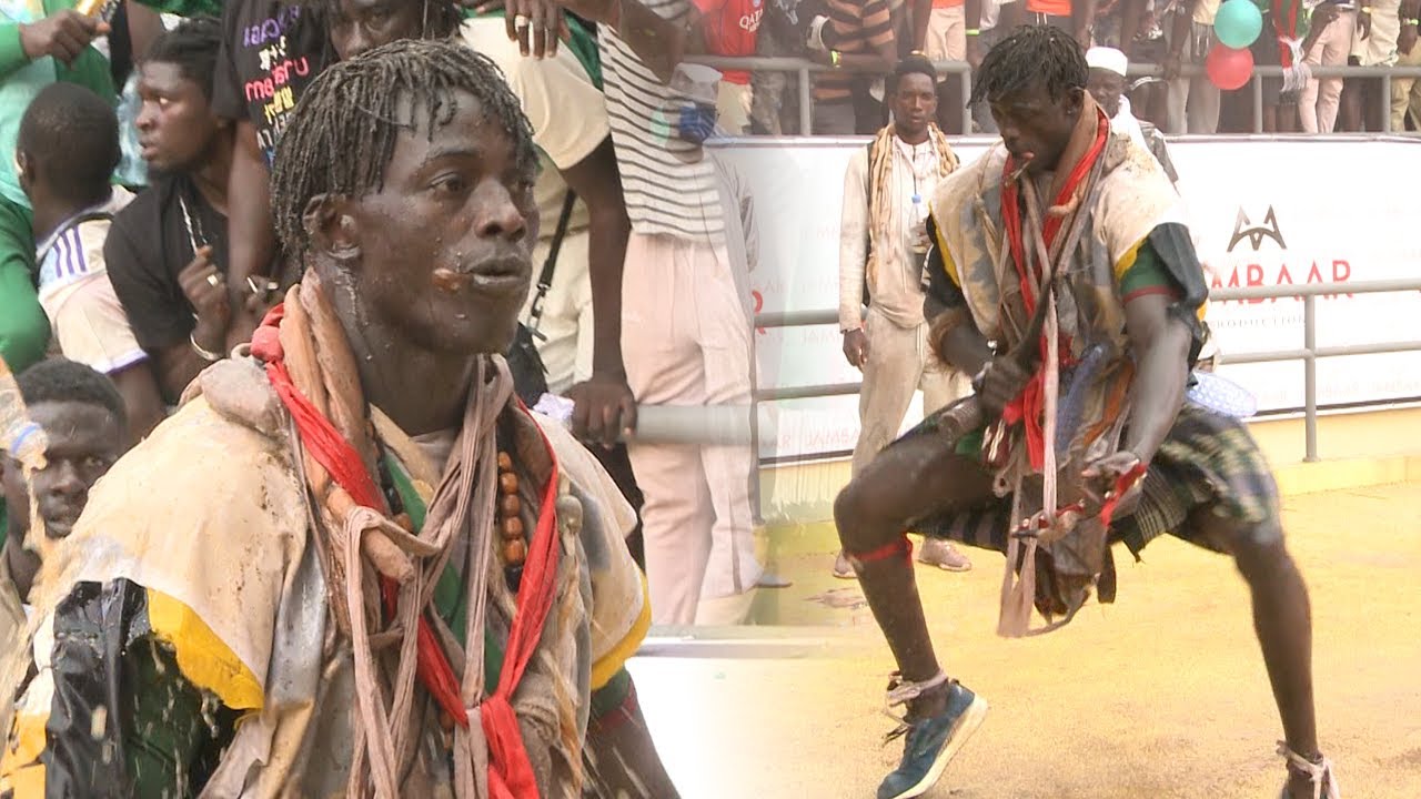 Magnifique Tousse de Prince : 