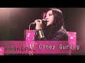 Nepal ice  sounds of nepal  nepali music  ciney gurung