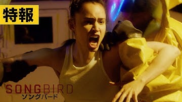 【特報】映画『ソングバード』＜10.7 全国公開＞